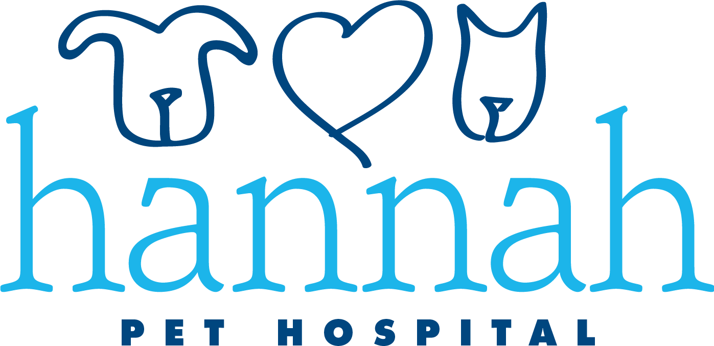 Hannah Pet Hospital